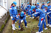 12月:楮刈り取り作業風景