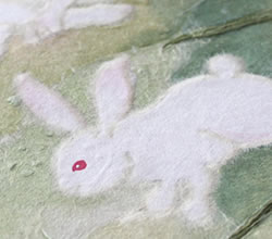 有限会社やなせ和紙写真