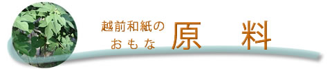 越前和紙のおもな原料タイトル